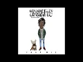 Wiz Khalifa - Let'R [28 Grams]