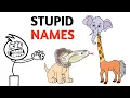 Why Are Animal Names So Stupid