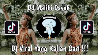 dj dayak full beat lagu malihi viral tik tok terbaru 2023 yang kalian cari 