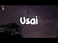 Download Lagu Tiara Andini - Usai ( Lirik Lagu )