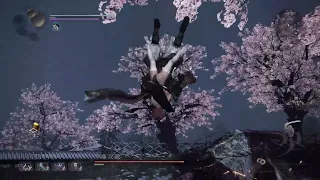 Nioh2 - mod test