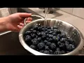 Mayo Clinic Minute Benefits of blueberries