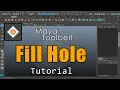 The Maya Toolbelt - Fill Hole