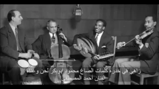 احمد المصطفي زاهي في خدره 