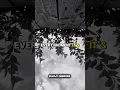 Download Lagu I Never Fake Care For Anyone🙃..#vindiesel #shorts #motivation #success #mindset #love #emotional #yt