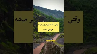 آمدی جانم به قربانت ولی حالا چرا شهریار Shorts 