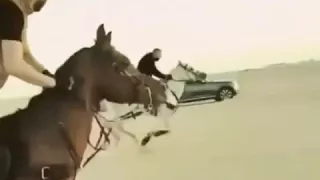 قل للضعوف الي تفتش ورانا   دندنها
