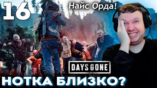 ОРДА ЗОМБИ ЗАСТАЛА ПАПИЧА ВРАСПЛОХ... 😱 Прохождение Days Gone (часть 16)