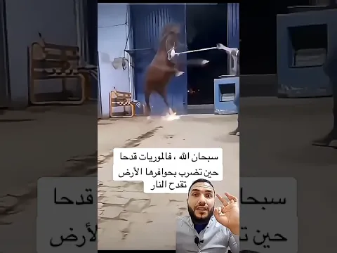 هل تعرف ماذا يخرج من حافر الحصان