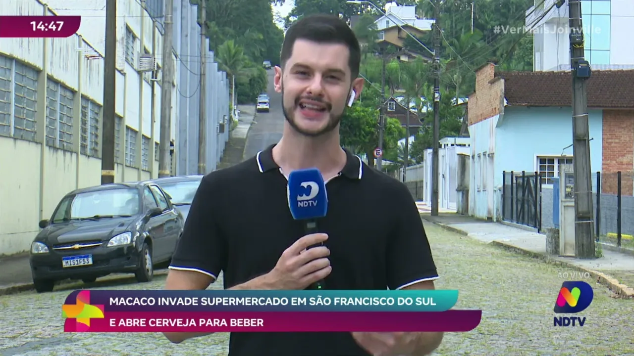 Invasão inusitada: Macaco causa alvoroço em supermercado