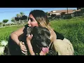 Vacations - Young (Official Music Video)