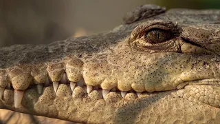 Vacation in San Blas, Nayarit | Sailing Avocet