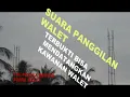 Download Lagu SP.SUARA PANGGILAN WALET GABUNGAN,TERBUKTI BISA MENDATANGKAN KAWANAN WALET....
