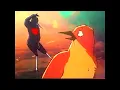 birds for some reason