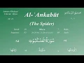 Download Lagu 029) Surah Al Ankabut by Mishary Rashid Al Afasy with Arabic, English Subs and English Meaning