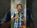 Download Lagu kata kata pak sopir.
