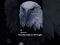 Fly alone #powerful #man #people #eagles #fly #super