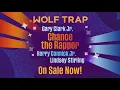 Your Favorite Artists Are At Wolf Trap Summer 2026