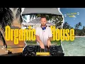 Lagu Bornio77 – Organic House DJ Set in Koh Phangan, Thailand | Music Meets Nature @Fullmoonradio​
