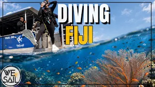 Diving Fiji’s Coral Reefs | The Best Reef Dive We’ve Ever Done