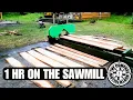 Using the Harbor Freight Sawmill 8 years going strong Minor issues