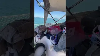 Day 71 living on a sailboat #sailboatlife #dayinthelife