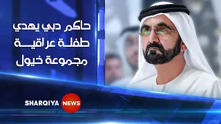 حاكم دبي يهدي طفلة عراقية مجموعة خيول لانيا وذووها يوجهون عبرالشرقية نيوز تقديرهم للشيخ محمد بن راشد 