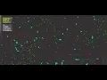 Portfolio of p5 js Javascript Visualization Projects