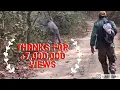Download Lagu Close Encounter with a Tiger in Royal Chitwan National Park Nepal