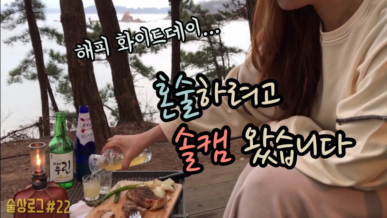 [술상로그]  캠핑 VLOG | 화이트데이 솔로캠핑, 혼술하러 솔캠갔는데 혼자가 아니였습니다... | Solo camping, Drink alone サムネイル
