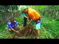 Download Lagu [FULL] SI GUNDUL MASAK KULIT SINGKONG DAN KULIT MANGGIS | JEJAK SI GUNDUL (15/06/23)