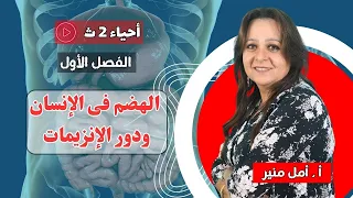 الأحياء 2 ث تيرم أول الفصل الأول الهضم فى الإنسان ودور الإنزيمات 