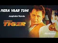 Lagu Mera Yaar Tuhi - Bengal Tiger(2001)