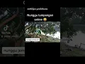 Download Lagu nostalgia Genta buana
