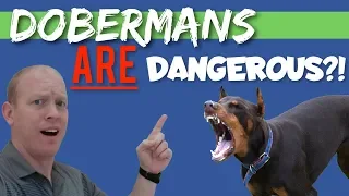 how dangerous can a doberman really be