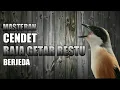 MASTERAN CENDET RAJA GETAR RESTU BERJEDA!!