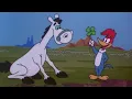 Download Lagu O Amigo Sortudo do Pica-Pau | Pica-Pau em Português