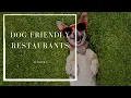 Dog Friendly Restaurants Top Things To Do In Las Vegas Selling Sin City