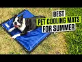 3 BEST Pet Cooling Mats for Summer