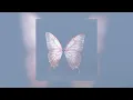 𝑺𝒍𝒂𝒚𝒚𝒚𝒕𝒆𝒓- 𝑩𝒖𝒕𝒕𝒆𝒓𝒇𝒍𝒊𝒆𝒔... (𝒔𝒍𝒐𝒘𝒆𝒅)