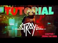 Beginners Guide to Stray