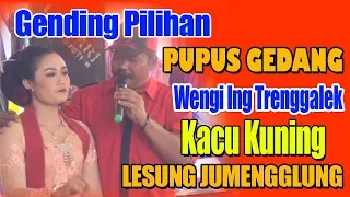 Download GENDING TERBARU - PUPUS GEDANG - WENGI ING TRENGGALEK - KACU KUNING - TAYUB TRENGGALEK MP3