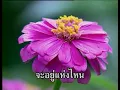 ดอกไม้ให้คุณ - พงษ์สิทธิ์ คำภีร์ [ OFFICIAL MV ]