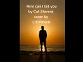How can I tell you by Cat Stevens / LitoPineda