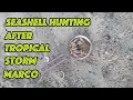 Seashell Hunting After Tropical Storm Marco In Gulf Shores Alabama