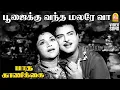Download Lagu Poojaikku Vandha - HD Video Song | பூஜைக்கு வந்த மலரே வா | Paada Kaanikai Gemini Ganesan | Savitri