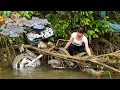 Download Lagu Poor Girl Picks Up Scrap | Girl Finds Large Sum Of Money And Antique Motorbike Swept Away By Flood.