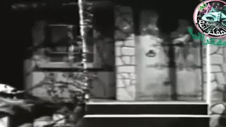 فايزه احمد تهجرنى بحكايه دندنها