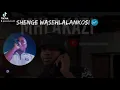 Shenge wasehlalankosi _Sulani igama lami lyric video 