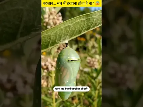 बदलाव… सच में डरावना होता है ना? 😱 #motivation